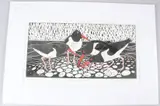 Oyster Catchers by Celia Lewis, pencil, sold Apr 2026