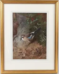 Jay colour print Fine Art Guild blindstamp published by W F Embleton by Archibald Thorburn, print, offered Apr 2026