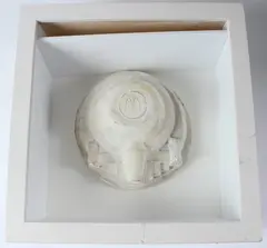 Circular form with McDonald's logo plaster relief in glazed case by Eduardo Paolozzi, sculpture, offered Apr 2026