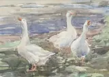 Fully by June Crawshaw Bws Swa, watercolour, sold Aug 2024