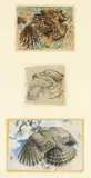 Untitled by Charles Frederick Tunnicliffe, mixed media, sold Jul 2024