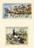 Untitled by Charles Frederick Tunnicliffe, watercolor, sold Jul 2024