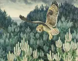 Untitled by Charles Frederick Tunnicliffe, watercolour, sold Jul 2024