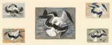 Untitled by Charles Frederick Tunnicliffe, watercolor, sold Jul 2024