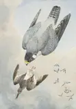 Untitled by Charles Frederick Tunnicliffe, watercolour, sold Jul 2024