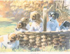 Pick of the Litter by Heather St Clair Davis, print, sold Oct 2025