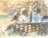 Pick of the Litter by Heather St Clair Davis, print, sold Oct 2025