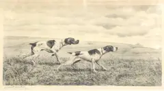 Untitled by Léon Danchin, etching, sold Aug 2025