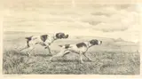 Untitled by Léon Danchin, etching, sold Aug 2025
