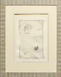 Seahorse and ammonite watercolour on wove paper by Victoria Cassidy, watercolour, sold Jul 2025