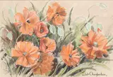 Early Poppies' pastel on tinted paper by Juliet Chamberlain, pastel, sold Jul 2025