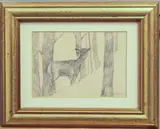 Study of a goat in a woodland by Lesley Holmes, pencil, offered May 2025