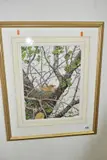 A Song Thrush sitting on a nest in an oak tree by Peter Lindsey, watercolour on paper, sold Jul 2021