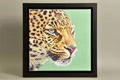 Game face by Darryn Eggleton, print, sold Jun 2021