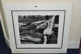 Naked landscape, plate 43 by John Swannell, print, sold Jun 2021