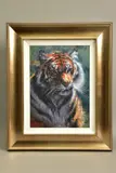 Tiger in the sun by Rolf Harris, print, sold May 2021