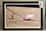 Is there life on mars by Mr Kuu, print, sold May 2021