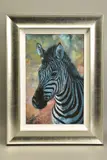 Young zebra by Rolf Harris, print, sold May 2021
