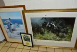 The mountain gorillas of rwanda by David Shepherd, print, sold May 2021