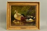 Ducks and ducklings in water by John Frederick Herring, Sr., 1853, oil on wood, offered Mar 2021