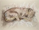Sleeping whippet Signed with initials ML by Max Leuchars, Mixed media on canvas, sold May 2021