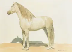 Maramito by Alan Brassington, Watercolour and pencil, offered May 2021