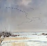 Geese in flight Signed and dated Peter Partington/87 by Peter Partington Swla, Watercolour, sold May 2021