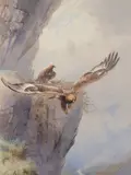 Golden Eagle taking off Signed J by John Cyril Harrison, Watercolour, sold May 2021