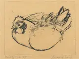 Broody Hen Signed and inscribed Broody Hen A/P A Milner by Alison Milner-Gulland, Etching, sold May 2021