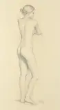 Standing nude Signed Tatchell 09 by Rosie Tatchell, Pencil, sold May 2021