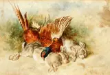 Two hares and a pheasant by Heywood Hardy, watercolour, sold Nov 2014