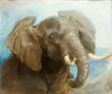 Study of an African Elephant by Heywood Hardy, pastel, sold Nov 2014