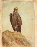 Vulture on a rock staring ahead; and Vulture in profile by Heywood Hardy, watercolour, pen and ink, sold Nov 2014