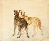 Two lurchers by Heywood Hardy, pencil and watercolour, sold Nov 2014