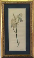 Flower Study by Alice Bennett Sotter, Watercolor, sold Jul 2023
