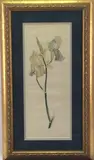 Flower Study by Alice Bennett Sotter, Watercolor, sold Jul 2023