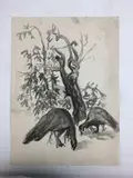 Untitled by Nora Hauser, Watercolors (6), sold Jul 2023