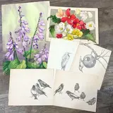 Untitled by Eleanor Beatrice Acker, Watercolors (2) and pencil (4), sold Sep 2023