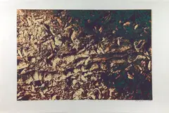 Roots by Max Epstein, Screenprint, sold Feb 2024