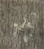 Untitled by Benoît Gilsoul, 1969, India ink and wash on paper, sold Dec 2020
