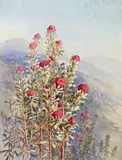 Waratahs by Ellis Rowan, c.1900, watercolour on paper, sold Nov 2017