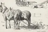 Draught Horses (Polly And Jack) by Hans Heysen, pencil on paper, sold Nov 2017