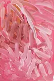 Untitled by Emily Kam Kngwarreye, 1992, synthetic polymer paint on paper, sold Nov 2017