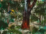 Parrots In The Bush by Albert Tucker, oil on composition board, sold Sep 2017