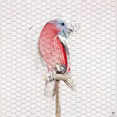 Galah by Brett Whiteley, 1988, oil, collage and wire on canvas, sold Mar 2017