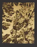 Micrographie [abstraction dorée], c. 1930 by Laure Albin Guillot, Épreuve Fresson d'époque sur feuille dorée, contrecollée sur carton, sold Apr 2023
