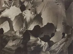 Micrographie [strates], c. 1930 by Laure Albin Guillot, Épreuve argentique d'époque, contrecollée sur carton et signée au crayon sur le montage en, sold Apr 2023