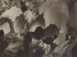 Micrographie [strates], c. 1930 by Laure Albin Guillot, Épreuve argentique d'époque, contrecollée sur carton et signée au crayon sur le montage en, sold Apr 2023