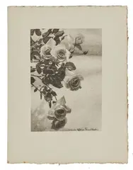 Roses, c. 1930 by Laure Albin Guillot, Épreuve Fresson d'époque sur feuillet remplié, sold Apr 2023