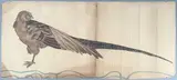 Oiseau by Tony Minartz, Aquarelle, sold Apr 2023